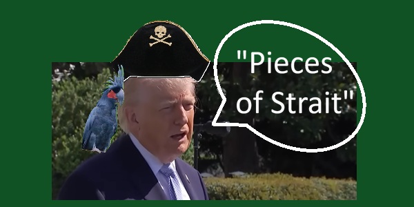 493_pirate trump.jpg